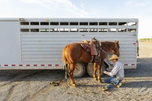 5 Things to Consider When Buying Livestock Trailers