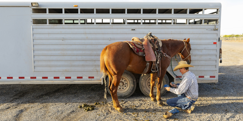 5 Things to Consider When Buying Livestock Trailers